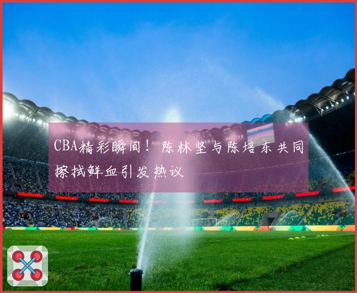 CBA精彩瞬间！陈林坚与陈培东共同擦拭鲜血引发热议